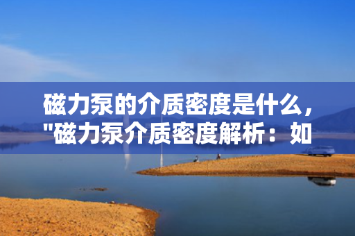 磁力泵的介质密度是什么，
