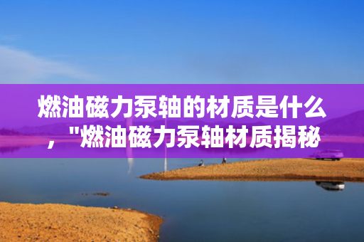 燃油磁力泵轴的材质是什么，