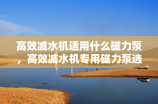 高效减水机适用什么磁力泵，高效减水机专用磁力泵选择指南