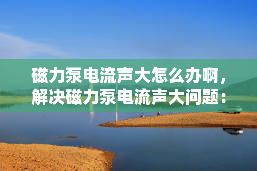 磁力泵电流声大怎么办啊，解决磁力泵电流声大问题：专业指导与实用技巧