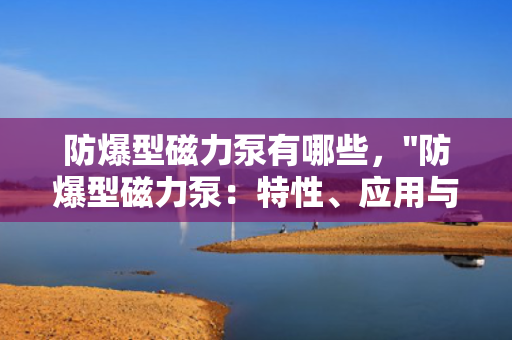 防爆型磁力泵有哪些，