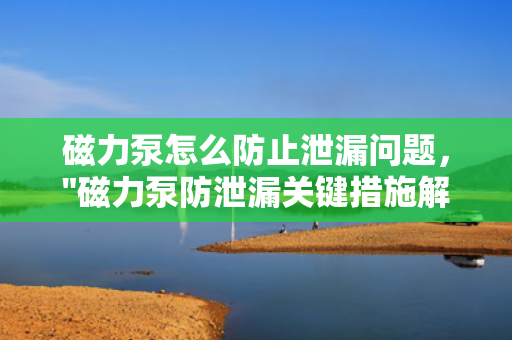 磁力泵怎么防止泄漏问题，