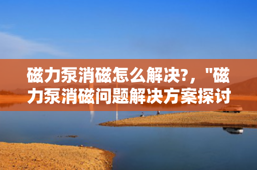 磁力泵消磁怎么解决?，