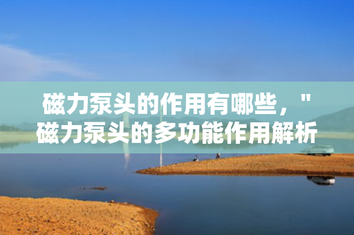 磁力泵头的作用有哪些，