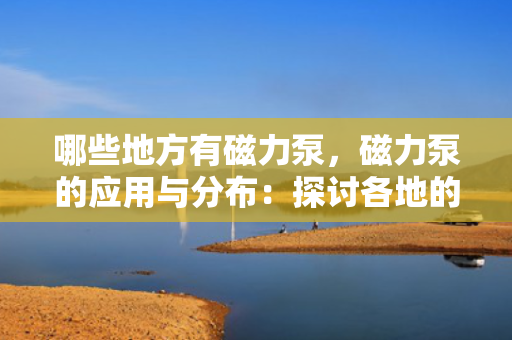 哪些地方有磁力泵，磁力泵的应用与分布：探讨各地的磁力泵使用现状
