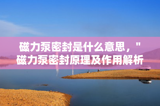 磁力泵密封是什么意思，
