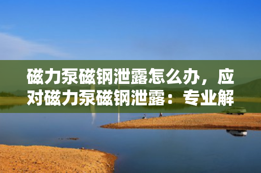 磁力泵磁钢泄露怎么办，应对磁力泵磁钢泄露：专业解决方案与操作指南