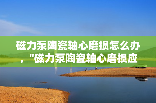磁力泵陶瓷轴心磨损怎么办，