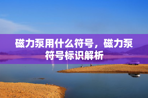 磁力泵用什么符号，磁力泵符号标识解析