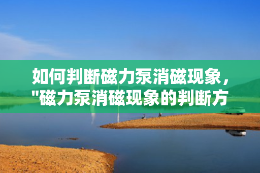 如何判断磁力泵消磁现象，