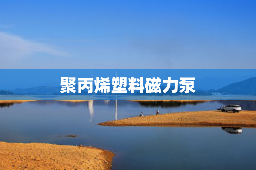 聚丙烯塑料磁力泵