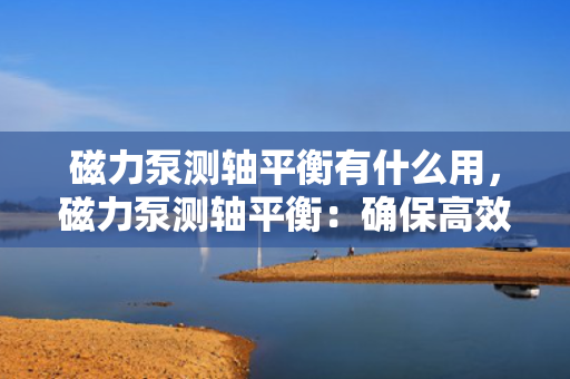 磁力泵测轴平衡有什么用，磁力泵测轴平衡：确保高效稳定运行的关键步骤