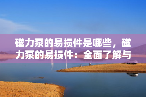 磁力泵的易损件是哪些，磁力泵的易损件：全面了解与维护指南