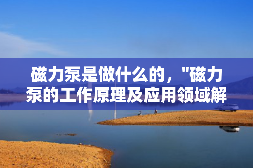 磁力泵是做什么的，