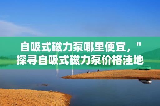 自吸式磁力泵哪里便宜，