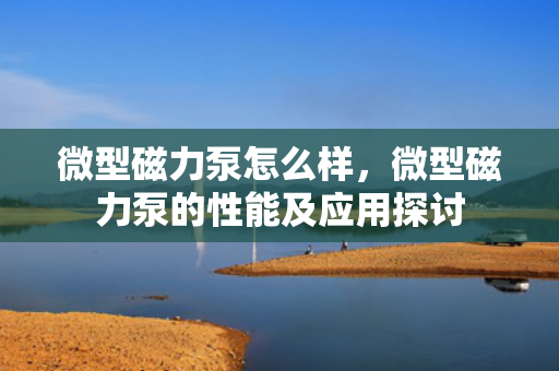 微型磁力泵怎么样，微型磁力泵的性能及应用探讨