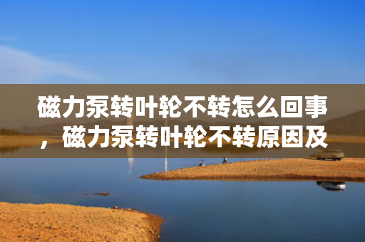 磁力泵转叶轮不转怎么回事，磁力泵转叶轮不转原因及解决方案