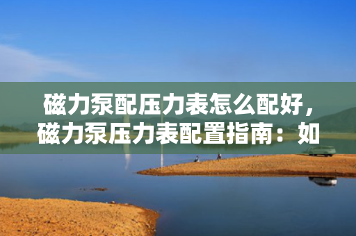 磁力泵配压力表怎么配好，磁力泵压力表配置指南：如何正确选择与安装