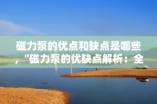 磁力泵的优点和缺点是哪些，