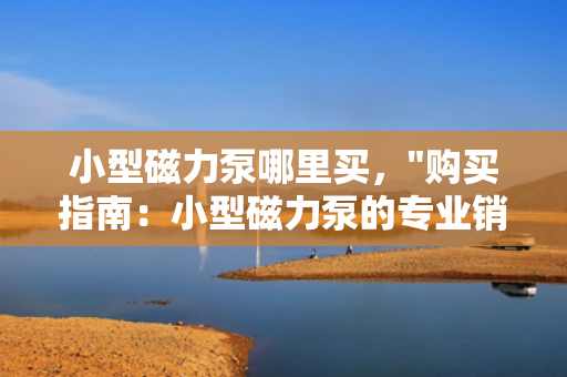 小型磁力泵哪里买，