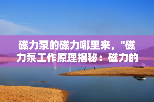磁力泵的磁力哪里来，