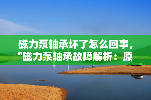 磁力泵轴承坏了怎么回事，