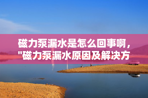 磁力泵漏水是怎么回事啊，