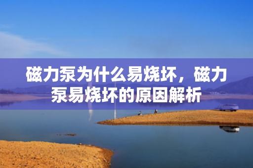 磁力泵为什么易烧坏，磁力泵易烧坏的原因解析