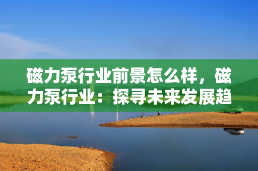磁力泵行业前景怎么样，磁力泵行业：探寻未来发展趋势与前景