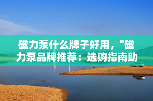 磁力泵什么牌子好用，