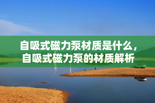 自吸式磁力泵材质是什么，自吸式磁力泵的材质解析