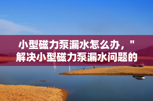 小型磁力泵漏水怎么办，