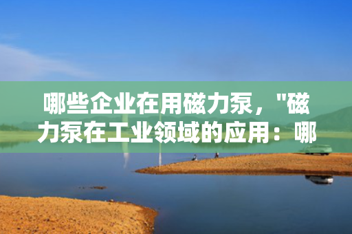 哪些企业在用磁力泵，