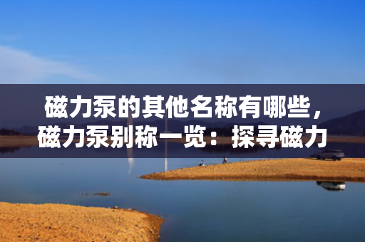 磁力泵的其他名称有哪些，磁力泵别称一览：探寻磁力泵的其他命名方式