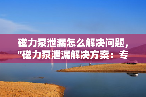 磁力泵泄漏怎么解决问题，