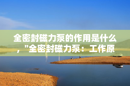 全密封磁力泵的作用是什么，