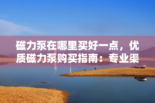 磁力泵在哪里买好一点，优质磁力泵购买指南：专业渠道推荐与选购建议