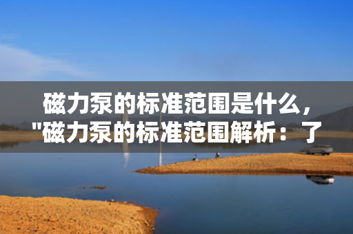磁力泵的标准范围是什么，