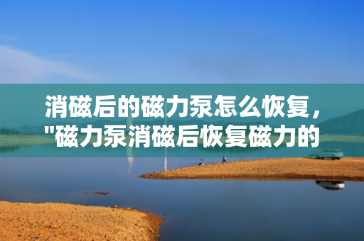 消磁后的磁力泵怎么恢复，