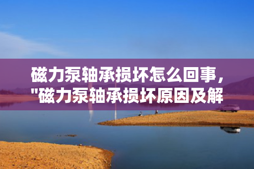 磁力泵轴承损坏怎么回事，