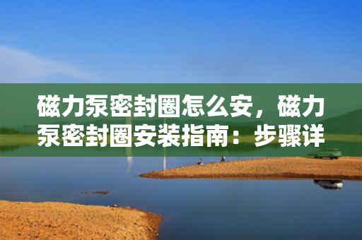 磁力泵密封圈怎么安，磁力泵密封圈安装指南：步骤详解与注意事项
