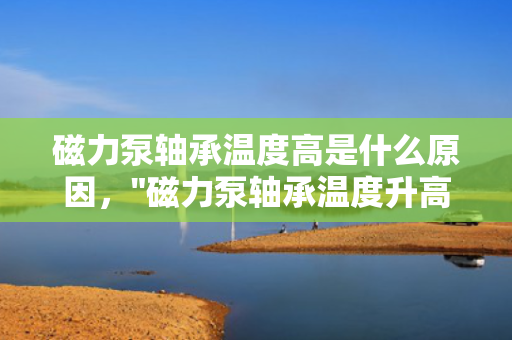 磁力泵轴承温度高是什么原因，
