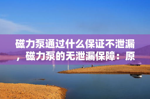 磁力泵通过什么保证不泄漏，磁力泵的无泄漏保障：原理、技术与应用
