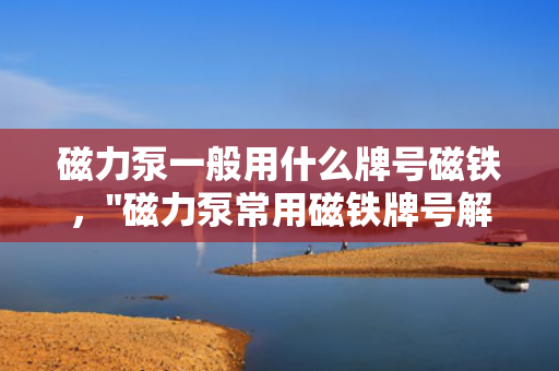 磁力泵一般用什么牌号磁铁，
