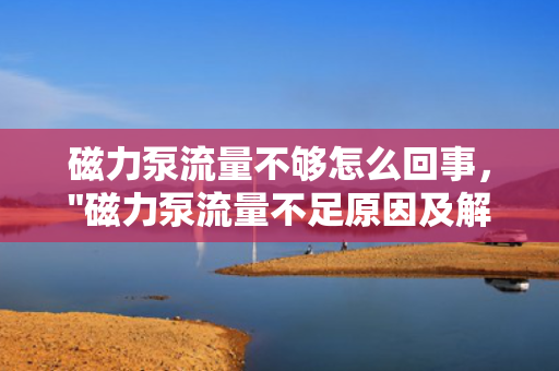 磁力泵流量不够怎么回事，