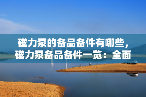 磁力泵的备品备件有哪些，磁力泵备品备件一览：全面解析关键组件及易损件