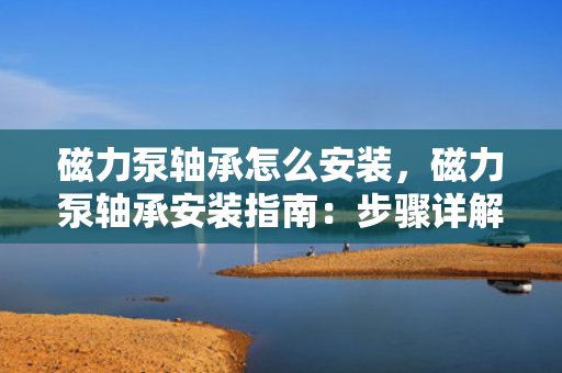 磁力泵轴承怎么安装，磁力泵轴承安装指南：步骤详解与注意事项