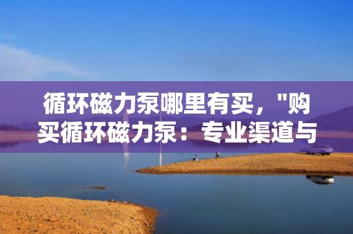 循环磁力泵哪里有买，