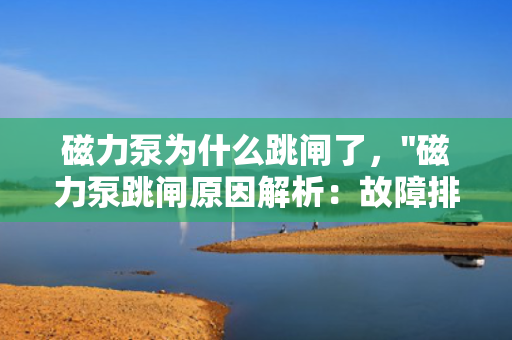 磁力泵为什么跳闸了，