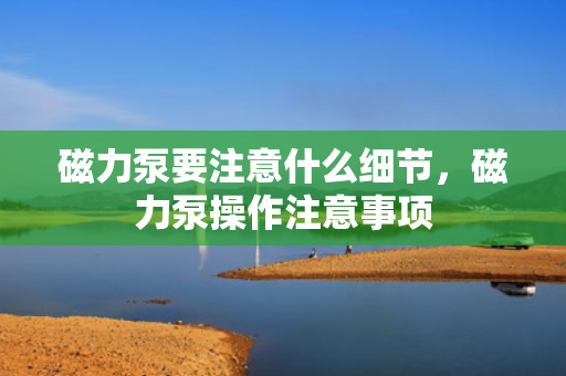 磁力泵要注意什么细节，磁力泵操作注意事项